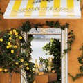 APERITIVO KRSTARENJA: PERNOD RICARD POKRENUO PROJEKAT LIMONCELLINA POVODOM 30 GODINA RADA U SRBIJI