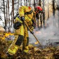 Izbio veliki požar na jugu Francuske, zahvaćeno područje od 800 hektara
