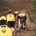 Saradnja srpskih i nemačkih vatrogasaca na gašenju požara u Deliblatskoj peščari