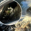 Čudo na Voždovcu! Od "poršea" od 100.000 € ostao pepeo, a unutra preživeo buket cveća i plišana igračka!