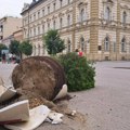 Novi Sad i dalje zbraja štetu: Uklonjeno više do 1.000 stabala, prijavljeno 2.000 oštećenja na objektima