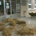 (VIDEO) Građani u Bačkoj Palanci prosuli đubrivo ispred opštinske zgrade