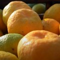 BIH zabranila uvoz dve tone mandarina iz Hrvatske