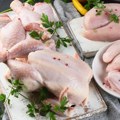 Epidemija ptičjeg gripa: Tri zemlje obustavile uvoz živine iz Brazila