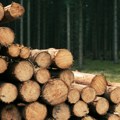 Stižu besplatna drva za ogrev! Ovo su važni uslovi koje morate da ispunite pravo na pomoć ima jedna grupa građana