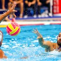 Miloš Ćuk: Pogrešna slika u pogrešno vreme