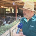 Od slučajne kupovine magarice do farme sa 90 životinja: Kako je Darko Saveljić spasao crnogorskog magarca