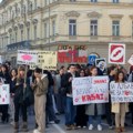 U Zrenjaninu drugi današnji protest – podrška povređenim lekarkama u Palmotićevoj u Beogradu (VIDEO)