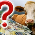 Potresi zbog nestale "fantomske" stoke: Proneverili više od 350 miliona $! Obmana od koje će vam se zavrteti u glavi