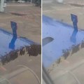 Драма пред полетање, паника настала у авиону: Лет каснио сат времена, реаговали ватрогасци због опасних инсеката