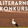 Literarni konkurs – Da sam ptica u Banatu