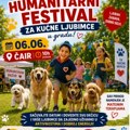 Humanitarni festival za kućne ljubimce 6. juna u Čairu, prihod za Mateine terapije