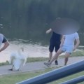Grupa momaka snimljena kako na Šumaričkom jezeru u Kragujevcu maltertira labuda (VIDEO)