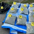 ​Leskovac: Uhapšen muškarac sa 10 kilograma marihuane