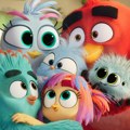 „Angry Birds Film 3“ u bioskopima od 31. decembra