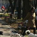 Kome pripada kućni ljubimac nakon razvoda? Advokatica objašnjava šta kaže naš zakon i šta se dešava ako pas završi na sudu!…