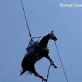 Vatrogasci u Kaliforniji helikopterom spasili povređenog konja VIDEO