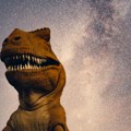 Najraniji dinosaurusi su brzo rasli – i nisu bili jedini