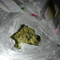 U stanu skrivali marihuanu i vagice za precizno merenje: Tužilaštvo u Pančevu podiglo optužnicu za trgovinu narkoticima!