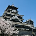 Hanami – Cvetni ritual koji slavi prolaznost života