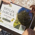 Studenti postavili QR kodove ispred drveća u centru Niša: Park postao „živa učionica“