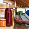 Dren u soku od grožđa i brašno od "bankuti" pšenice - zaboravljene vrste opstaju kroz organsku proizvodnju porodice Berenji