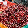 Ko ima platiće, ko nema gledaće! Cena trešanja obara sve rekorde, na tezgama rasprava svaki dan