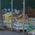 Suša i visoke cene - da li će zima biti bez zimnice