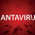 Šta se do sada zna o širenju hantavirusa? Povećan broj zaraženih, može ih biti i mnogo više, ovo su činjenice!