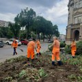 JKP „Mediana“ nastavlja uređenje zelenih površina i sezonsku zamenu rasade u Nišu