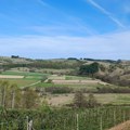 Srbija ima zemlje više nego većina sveta: Evo zašto 19 miliona parcela koči agrar