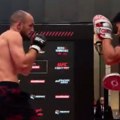 Beograd gori pred UFC spektakl! Rakić, Janičić i Medić oduševili masu, UFC groznica trese prestonicu!