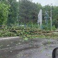 U Beogradu padalo drveće i leteli krovovi, RHMZ upozorio na manje poplave u pojedinim delovima Srbije