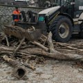 Kad padne vodostaj Dunava, voda izbaci svašta na obalu: Komunalne ekipe očistile priobalje u Zemunu
