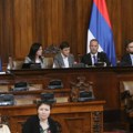 Pernat: Brnabić je "uklonila" i poslednji atom demokratije iz Skupštine