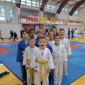 Turnir budućih šampiona: Sjajni rezultati za judo klub LSK Laćarak