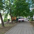 Počeli da seku drveće i na keju