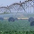 Suša u srednjem Banatu, neprekidno rade sistemi za navodnjavanje