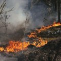 (FOTO) Veliki požar u blizini Černobilja, radijacija trenutno stabilna