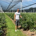 Drugo poluvreme Uroša Tripkovića: Između linije za tri poena i reda borovnica