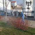 Zimsko tretiranje cveća i niskog rastinja : Aktivnosti radnika „Gradskog zelenila“ u Novom Sadu