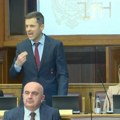 Energetika pod naponom: Ministra Sašu Mujovića poslanici kritikovali zbog partijskog kadriranja i milionskih gubitaka