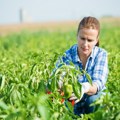 Raspisan poziv za dodelu bespovratnih sredstava ženama na selu