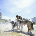 Климатске промене утростручиле смртност у новом топлотном таласу: Град у региону на листи оних са највећим бројем жртава