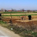 Poljoprivrednici najavljuju proteste zbog katastrofalne suše i neispunjenih obećanja države