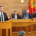 Crna Gora uvodi vize za državljane,Turske privedeno njih 45