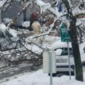 Palo drvo i u Bloku 30! Ljudi testerama sami sklonili sa prometne raskrsnice