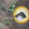Heroji za sve - bez obzira na veličinu i oblik! Vatrogasci u Novom Sadu izvukli psa iz septičke jame: Spasili ga u poslednjem…