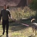 Pošli po pečurke, a kući se vratili sa vučicom: Aleksandar iz Štrpca pomislio da je našao štene, a onda se desilo neočekivano…