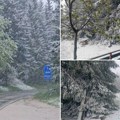 (Foto/video) zabeleli se Zlatibor i zlatar Kolaps u jednom delu Srbije zbog vejavice! Umesto sunčanih naočara potreban…
